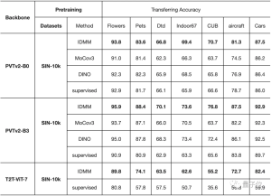 2040张图片训练出的ViT，准确率96.7%，连迁移性能都令人惊讶