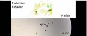 机器人也能「造孩子」：全球首个活体机器人创生命繁衍新方式