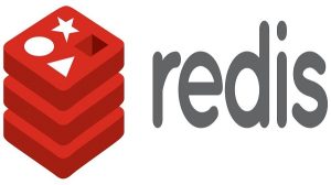 一文了解大数据下 Redis 的应用